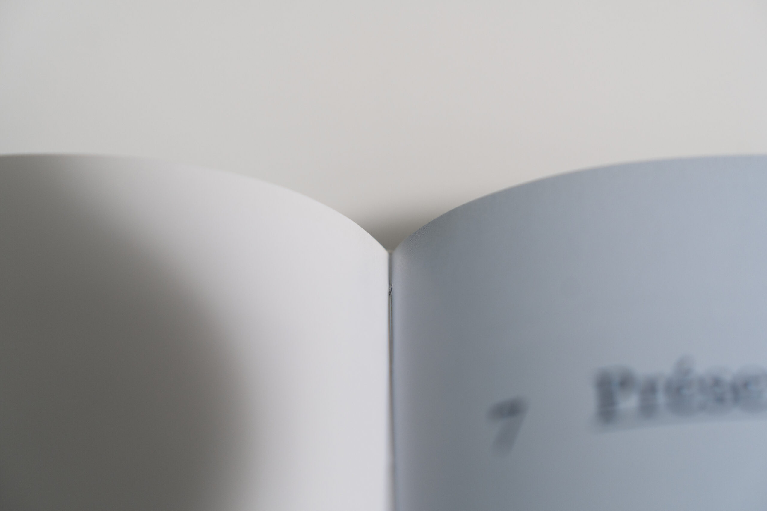 Pages ouvertes d’un guide clinique en implantologie avec mise au point sur un chapitre