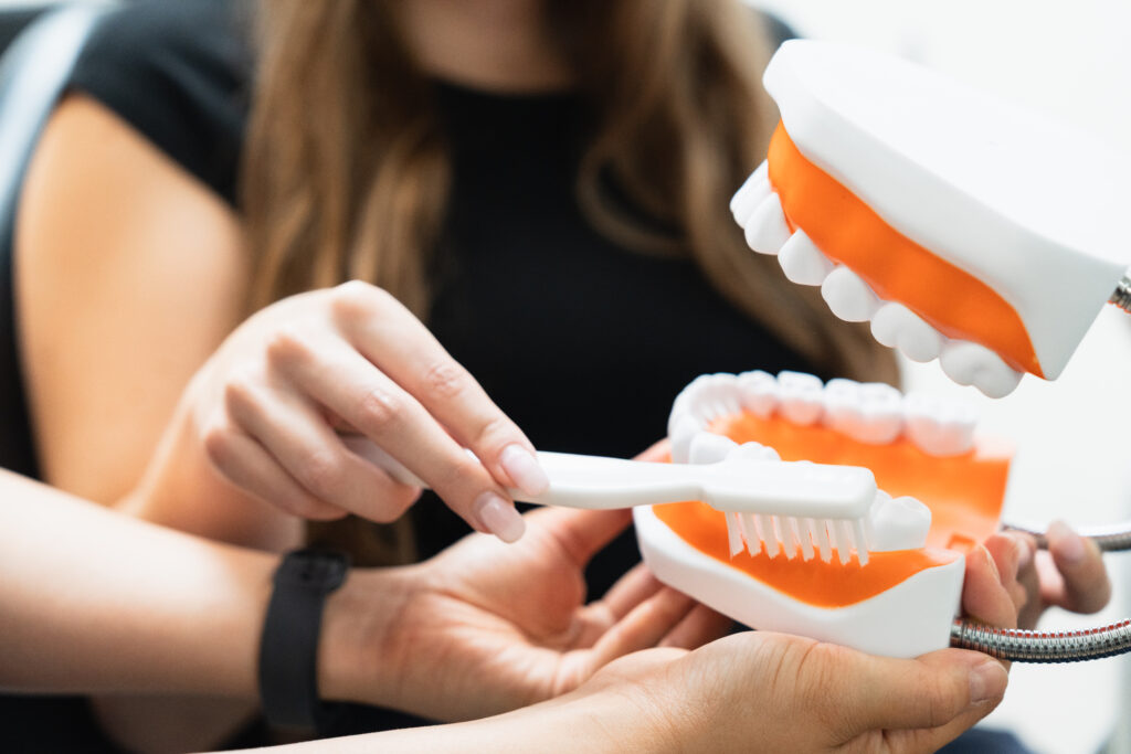 Apprentissage du brossage des dents pour prévenir les caries sur un modèle dentaire